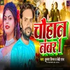 About Chauhan No 1 Song