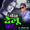 About Dhokha Deloo Song