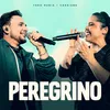 About Peregrino (Ao Vivo) Song