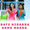 About Bate Nidarda Hamr Marda Song