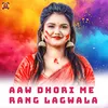 About Aaw Dhori Me Rang Lagwala Song