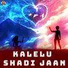 About Kalelu Shadi Jaan Song