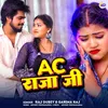 About AC Raja Ji Song