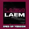 About Là Em (Sped Up Version) Song