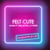 About Felt Cute (Might Delete Later) Song