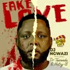 Fake Love (feat. Dr Tawanda & Nelcy-B)