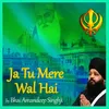 About Ja Tu Mere Wal Hai Song