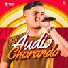 About Áudio Chorando Song