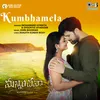 About Kumbhamela (From "Manninchava") Song