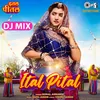 Ital Pital (DJ Mix)