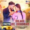 About Dilwa Ke Dhadkan Song