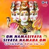 About Om Namasivaya Sivaya Namaha Om  (Chanting) Song