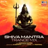 About Shiva Mantra (Trance Mix) Song