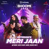 About Meri Jaan Song