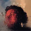 About Zogenaamd Song