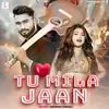 About Tu Mila Jaan Song