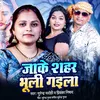 About Jake Shahar Bhuli Gaila Song