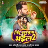 About Nimbu Kharbuja Bhail 2 Song