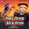 About Pibau Totalava Baithi Ke Hotalava Song