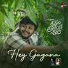 About Hey Gagana (From "Krishnam Pranaya Sakhi") Song