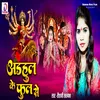 About Adahul Ke Phool Se Song