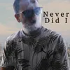 About Never Did I Song