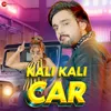 About Kali Kali Car Song