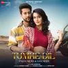 About Tumhe Dil Song