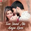 About Tum Yaad Na Aaya Karo Song