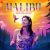 About Malibu Song