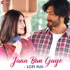 Jaan Ban Gaye - Lofi Mix