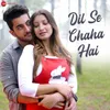 About Dil Se Chaha Hai Song