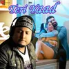 About Teri Yaad Song