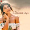 Dildaareya