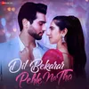 About Dil Bekarar Pehle Na Tha Song
