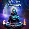 About Shiv Shiv Bholenath Song