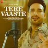 About Tere Vaaste Song