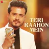 About Teri Raahon Mein Song