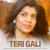 About Teri Gali Song