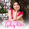 About Ishq Hai Song