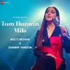 About Tum Humein Milo Song