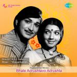Oh Panduranga Mp3 Song Download By S Janaki Sathi Sakkubai Wynk Lord vithal, or panduranga vittala, is an incarnation of lord vishnu and is worshipped in the world famous pandarpur rukmini vithal temple at pandarpur in. oh panduranga mp3 song download by s