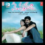 Premante Inthena mp3 song download by Sunitha (Manasu Paddanu Kaani) | Wynk