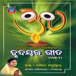Jagabandhu Pari Jane Mp3 Song Download By Namita Agrawal Hrudayara Gita 2 Wynk This is the bhajan album of namita. wynk music