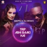 dj bravo champion song mp3