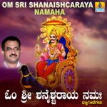 Sathyavantharige Idu Kaalavalla Mp3 Song Download By Shashidhar Kote Sri Purandara Dasara Keerthanegalu Wynk Listen all the songs from the devotional album sri purandara dasara keerthanegalu sung and composed by shashidhar kote. wynk music