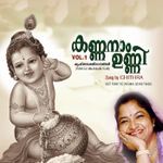 Naranayingane Mp3 Song Download By M G Sreekumar Sandhyanamam Wynk Naranayingane song lyrics by p. naranayingane mp3 song download by m g