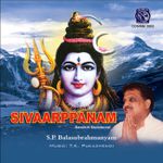 Siva Om Siva Om Mp3 Song Download By P Unnikrishnan Siva Om Hara