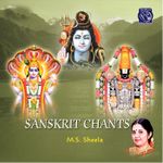 Sri Krishna Ashtothram Mp3 Song Download By Veda Pandits Sakala Devatha Astothara Sathanamavali Veda Pandits Wynk Sri krishna ashtothram sreejith nampoothiri ശ ര ക ഷ ണ അഷ ട ത തര hare krishna. sri krishna ashtothram mp3 song
