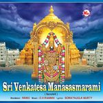 Srinivasa Gadyam Mp3 Song Download By Ragaavandra Acharya Sanskrit Shlokas Wynk Sri srinivasa gadyam lyrics by. wynk music